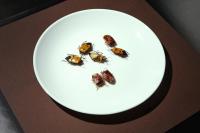 Caroline Heinecke, from the series "Future Food" | DER GREIF