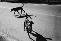 Untitled from "Breathing in 100000 km breathing out" | DER GREIF