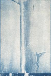 As Wild as Witnessed (Etched) | DER GREIF