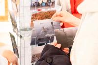 "Bilder auf Reisen / Pictures on a Journey" | DER GREIF