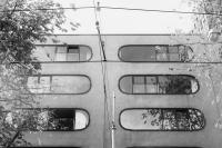 From the series "The Three of Us" | DER GREIF