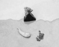 From the series "Why does the moon follow us everywhere we go?" | DER GREIF