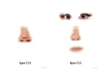 Untitled | DER GREIF