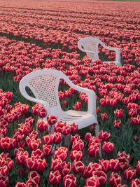 MAryam Touzani, "Chair" | DER GREIF