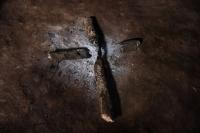 From the series "Forest Ruins", São Paulo, Brazil, 2025 | DER GREIF