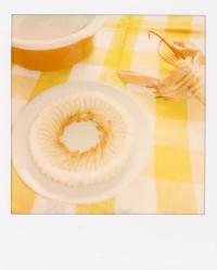 Stefanie Langenhoven, from the series "I do not want to become my Mother" | DER GREIF
