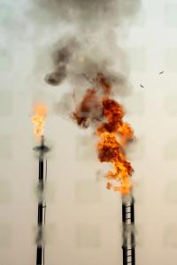 Mário Birmon, Garden of Eden — Estacion Sacha Sur, Lago Agrio, ECU, 2024 | DER GREIF