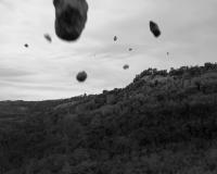 From the series "I Saw a Tree Bearing Stones in the Place of Apples and Pears" | DER GREIF