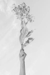 From "Tren" | DER GREIF
