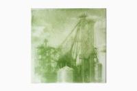 From the series "Bloom", Maumee River Watershed, United States, 2026 | DER GREIF