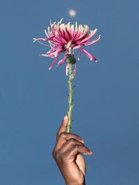 "Rising Flower to the Moon" | DER GREIF