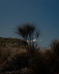 Asteroid 2009 FJ1 | DER GREIF