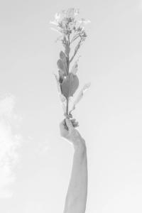From "Tren" | DER GREIF
