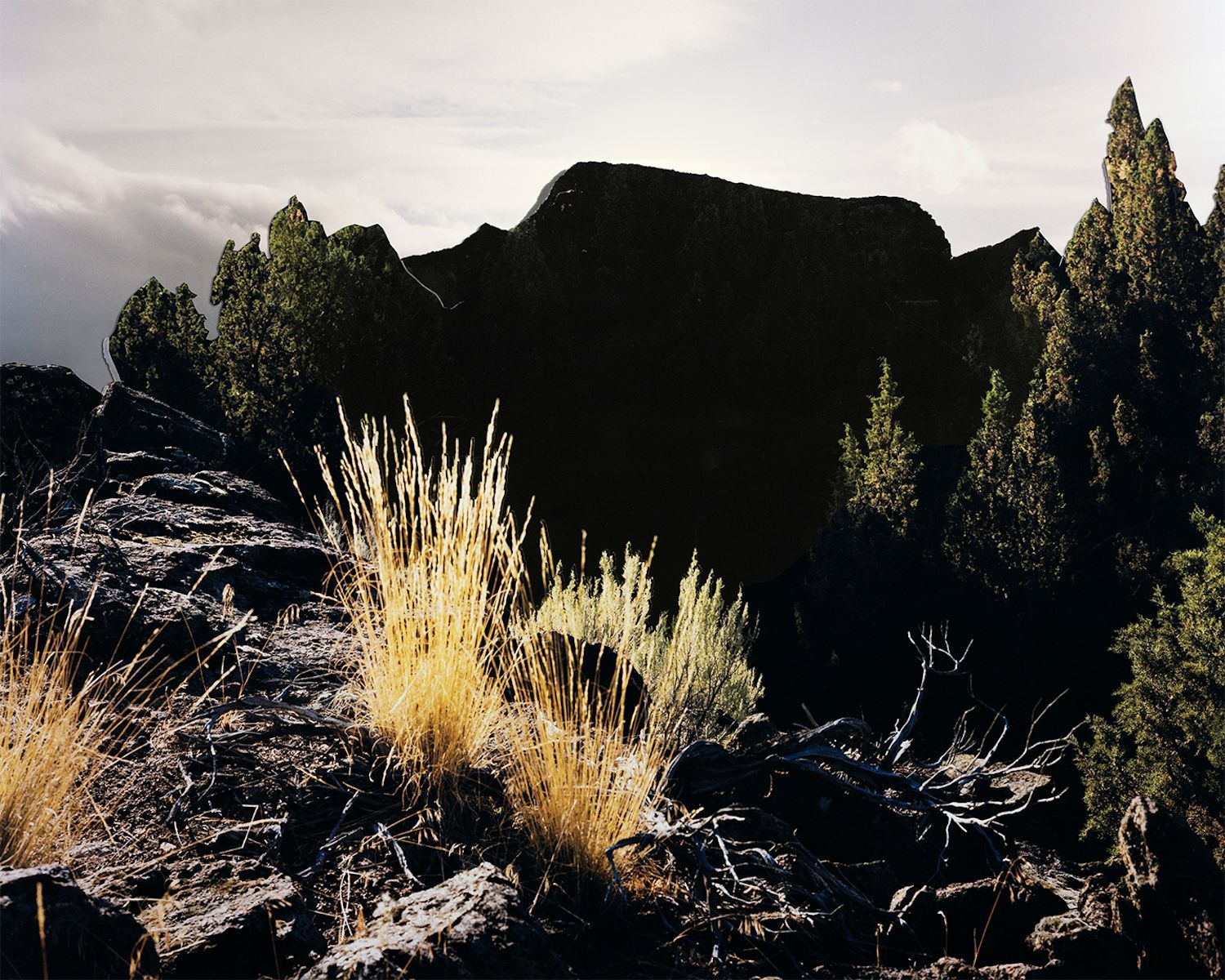 "False Summit" from the series "Field Capacity" — Sadie Wechsler