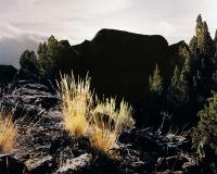 "False Summit" from the series "Field Capacity," Oregon, USA, 2026 | DER GREIF