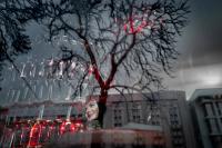 A moment of normalcy at a bar between air raid sirens. | DER GREIF