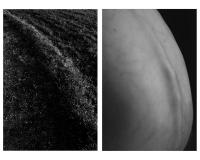 Lera Zilbershtein, Untitled, from the Plexus Project, Domžale, SVN, 2024 | DER GREIF