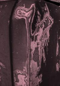 DER GREIF