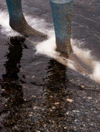 Alga Socks | DER GREIF