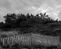 It’s Darkest Before The Dawn | DER GREIF