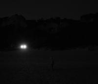 Untitled | DER GREIF