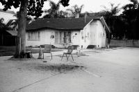 From the series "Lacunary" | DER GREIF