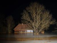 From the series "flux", Geamana, Alba region, Romania, 2025 | DER GREIF