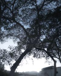 Somewhere Less Than Heaven B-Side | DER GREIF