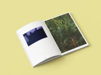 "Frontline Rolls: Photos, Letters & Artifacts from Ukrainian Soldiers" | DER GREIF