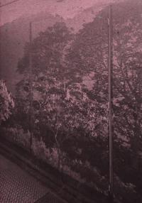 From the series "Hechizo" | DER GREIF