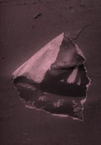 From the series "Hechizo" | DER GREIF