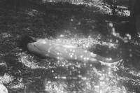 From the series "We Live Inside a Dream", Greece | DER GREIF