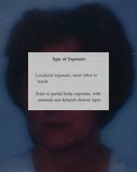 From the series "The Elephant's Foot" | DER GREIF