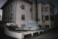 DER GREIF