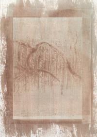 As Wild as Witnessed (Bend), Pine Anthotype Print | DER GREIF