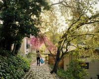 "Emmett Carries the Recycling Bin" | DER GREIF