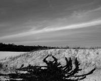 Untitled | DER GREIF