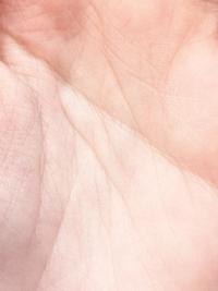 Untitled | DER GREIF