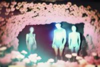 "Metamorphosis" from the series "Metamorphosis", Italy | DER GREIF