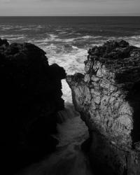 Untitled | DER GREIF