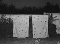 From "The Clear Image of Paradise" | DER GREIF
