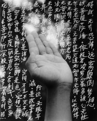 Untitled | DER GREIF