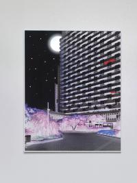 Installation view, Jens Masmann, "Arabella, fake starry night", from the series "Romantic", 2026 © Jens Masmann | DER GREIF