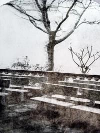 "Echo Segment" from the series "Minimal Prayer" | DER GREIF