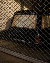 From recent walks | DER GREIF