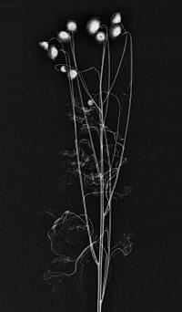 From the series "Beyond Fragments" | DER GREIF