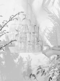 "Emilia holding a glass castle" | DER GREIF