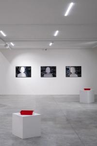 From the series "Metanoia" | DER GREIF