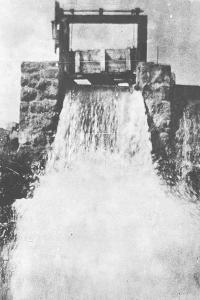 From the series "The Elephant's Foot" | DER GREIF