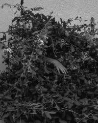 It’s Darkest Before The Dawn | DER GREIF